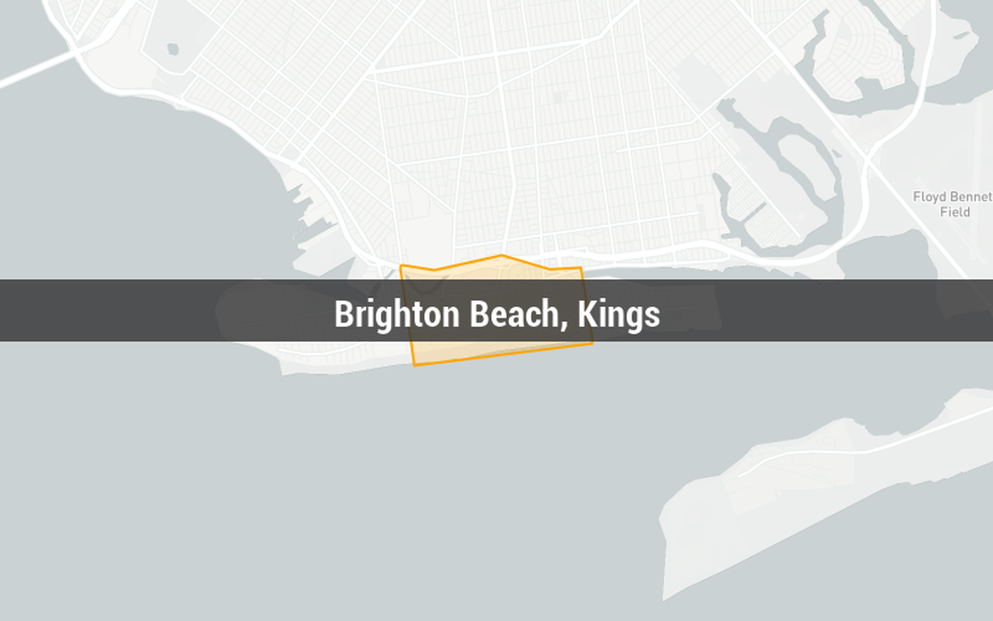 How much can you earn with Airbnb in Brighton Beach, Kings in 2024?